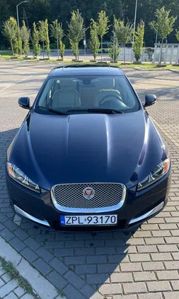 jaguar lubuskie Jaguar XF cena 66700 przebieg: 105000, rok produkcji 2015 z Police